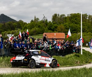 Spectators Safety