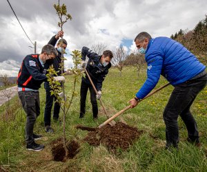  Leading rally drivers planted 11 cherry trees in Žumberak